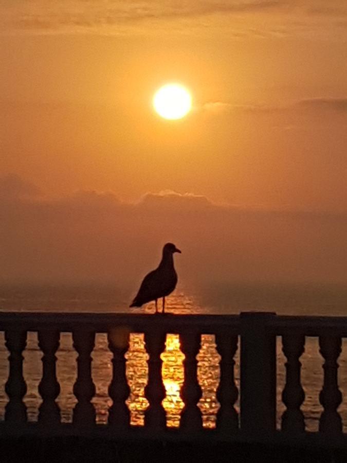 Jawharat Tetouan Appartement Souani  Buitenkant foto